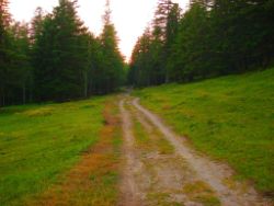 2013-07-20_Regina-F-Rau_Kochel-Rabenkopf (521c.JPG